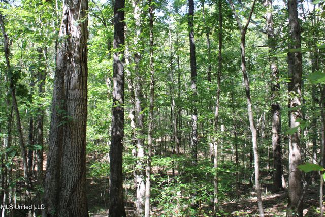 1540 Robert Ford Road, Waterford, MS 38685