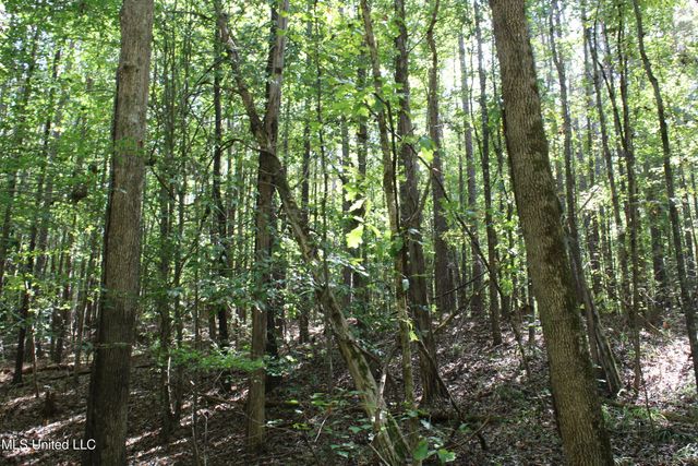 1540 Robert Ford Road, Waterford, MS 38685