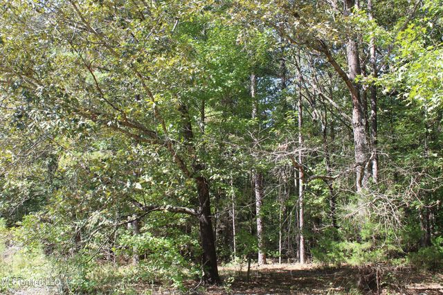 1540 Robert Ford Road, Waterford, MS 38685