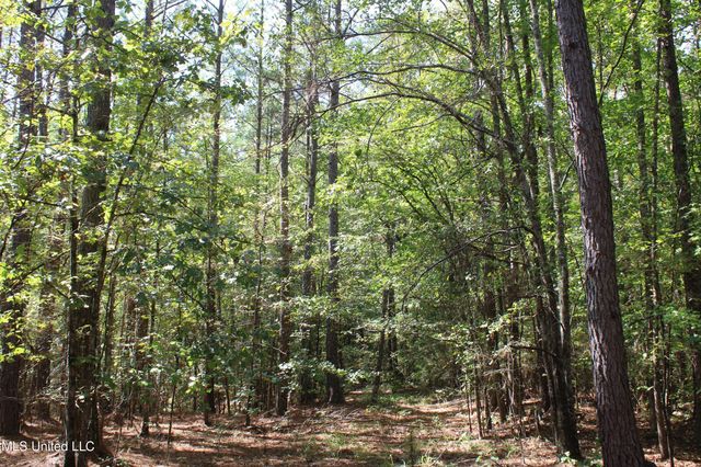 1540 Robert Ford Road, Waterford, MS 38685