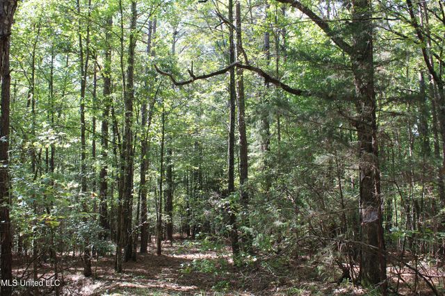 1540 Robert Ford Road, Waterford, MS 38685