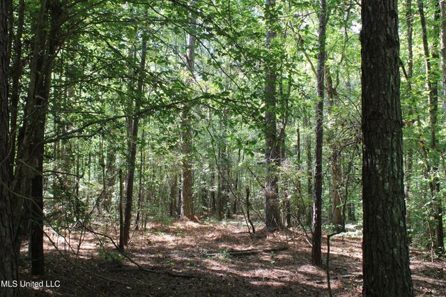 1540 Robert Ford Road, Waterford, MS 38685