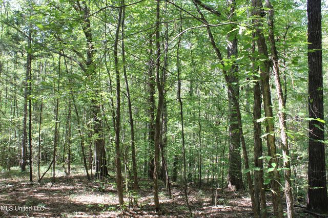 1540 Robert Ford Road, Waterford, MS 38685