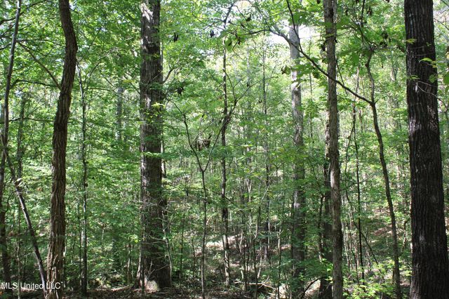 1540 Robert Ford Road, Waterford, MS 38685