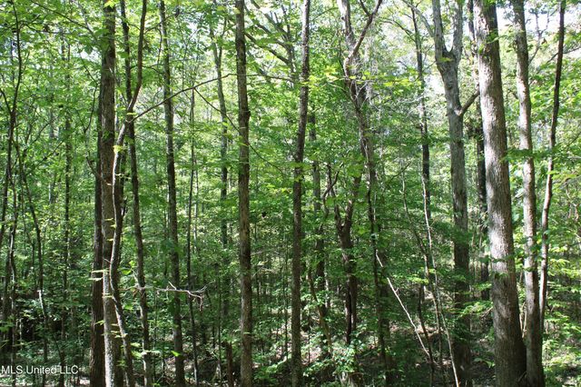 1540 Robert Ford Road, Waterford, MS 38685