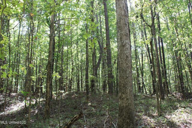 1540 Robert Ford Road, Waterford, MS 38685