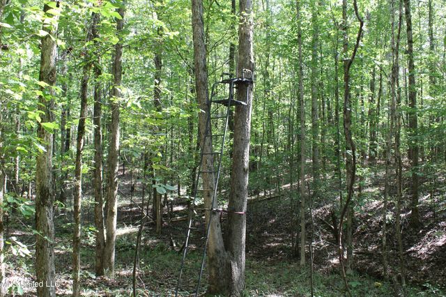 1540 Robert Ford Road, Waterford, MS 38685