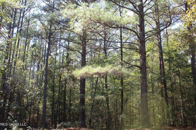 1540 Robert Ford Road, Waterford, MS 38685