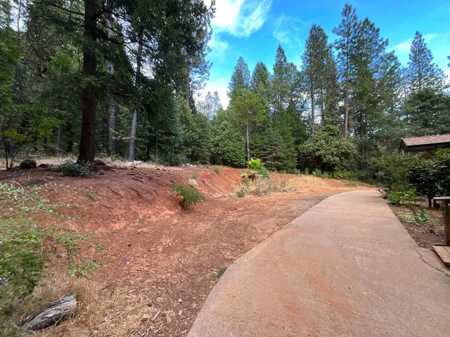 17719 Leal Ln, Brownsville, CA 95919