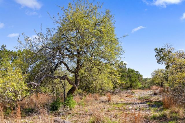 12136 Fitzhugh PL, Dripping Springs, TX 78620