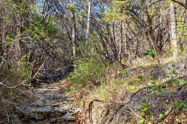 12136 Fitzhugh PL, Dripping Springs, TX 78620