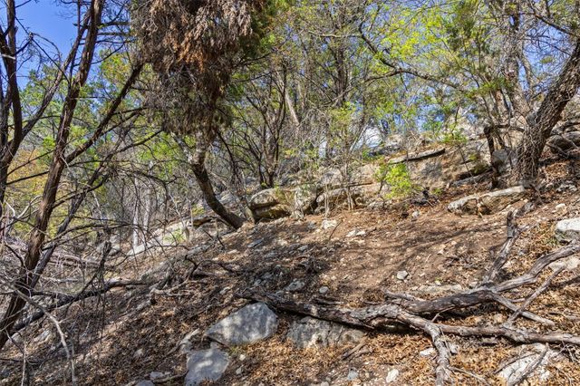 12136 Fitzhugh PL, Dripping Springs, TX 78620