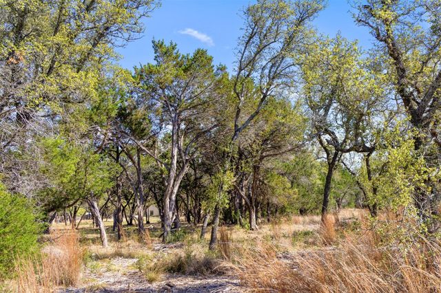 12136 Fitzhugh PL, Dripping Springs, TX 78620