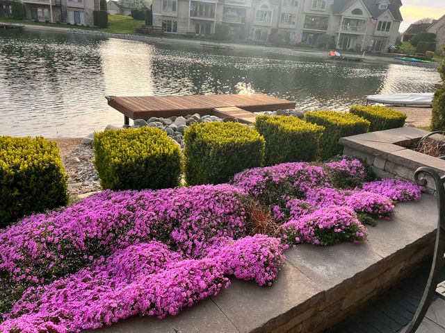 18269 Blue Heron Drive E 16, Northville, MI 48168