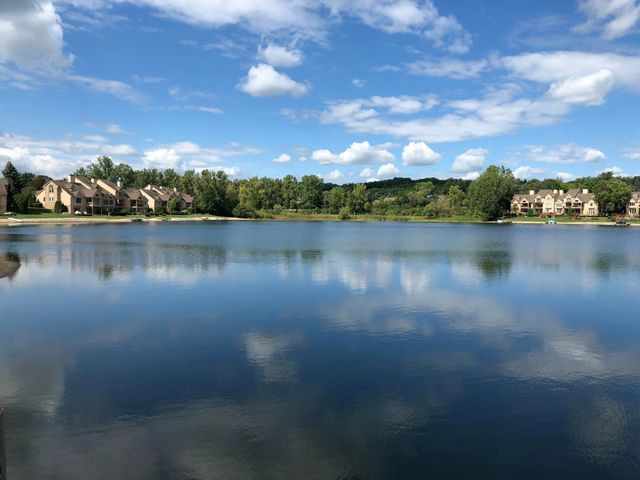 18269 Blue Heron Drive E 16, Northville, MI 48168