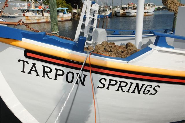 GROSSE AVENUE, Tarpon Springs, FL 34689