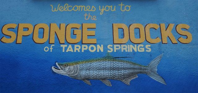 GROSSE AVENUE, Tarpon Springs, FL 34689