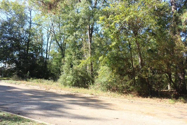 TBD Lake Oaks Circle, Coldspring, TX 77331