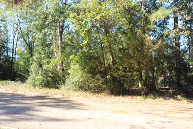 TBD Lake Oaks Circle, Coldspring, TX 77331