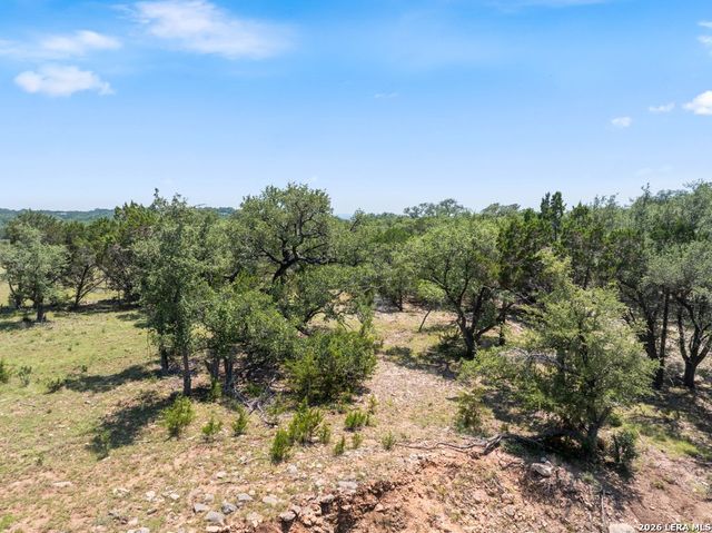 2480 Scenic View Dr, Fischer, TX 78623