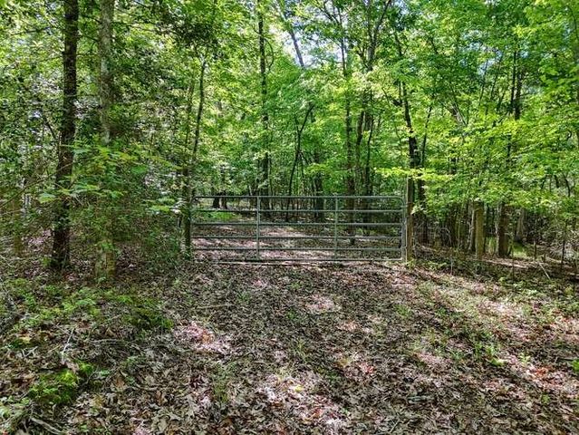 441 Foxfire Road, Blairsville, GA 30512