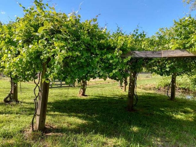 441 Foxfire Road, Blairsville, GA 30512