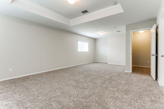 16210 Rosebud Vista, Selma, TX 78154
