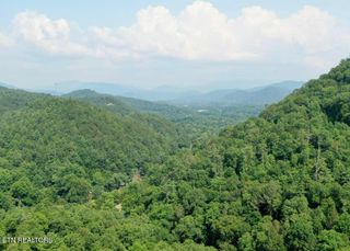 165 Anatole Pass, Townsend, TN 37882