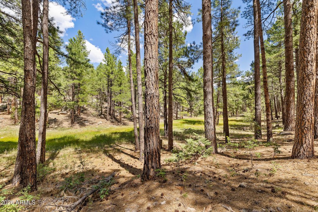 Image 1 of property listing at 3456 LAURIE Lane 9, Flagstaff, AZ 86005