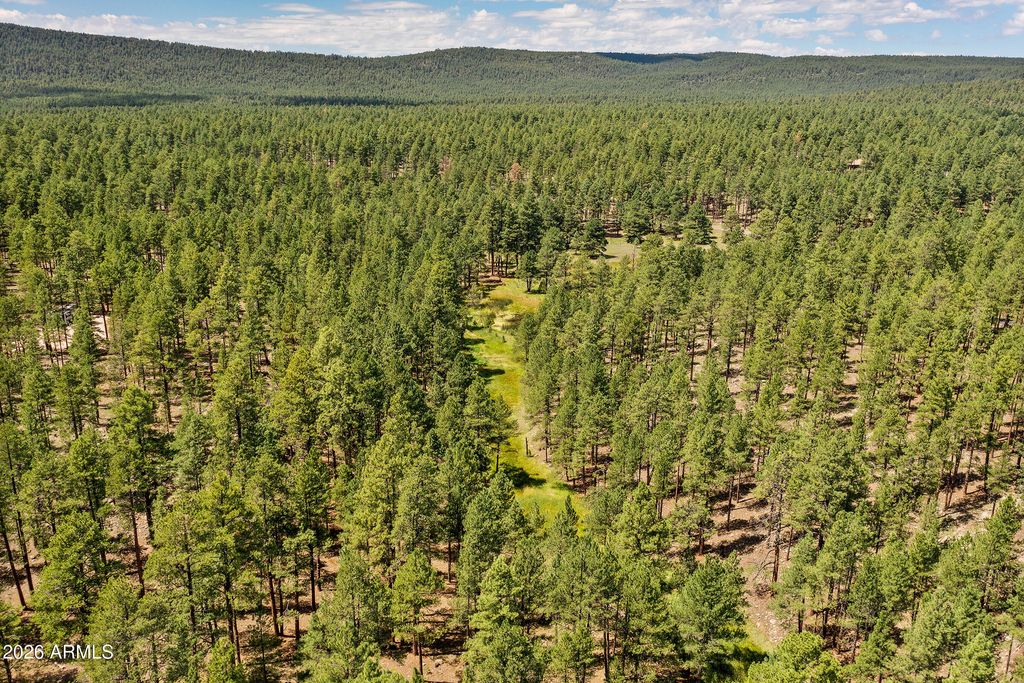 Image 11 of property listing at 3456 LAURIE Lane 9, Flagstaff, AZ 86005