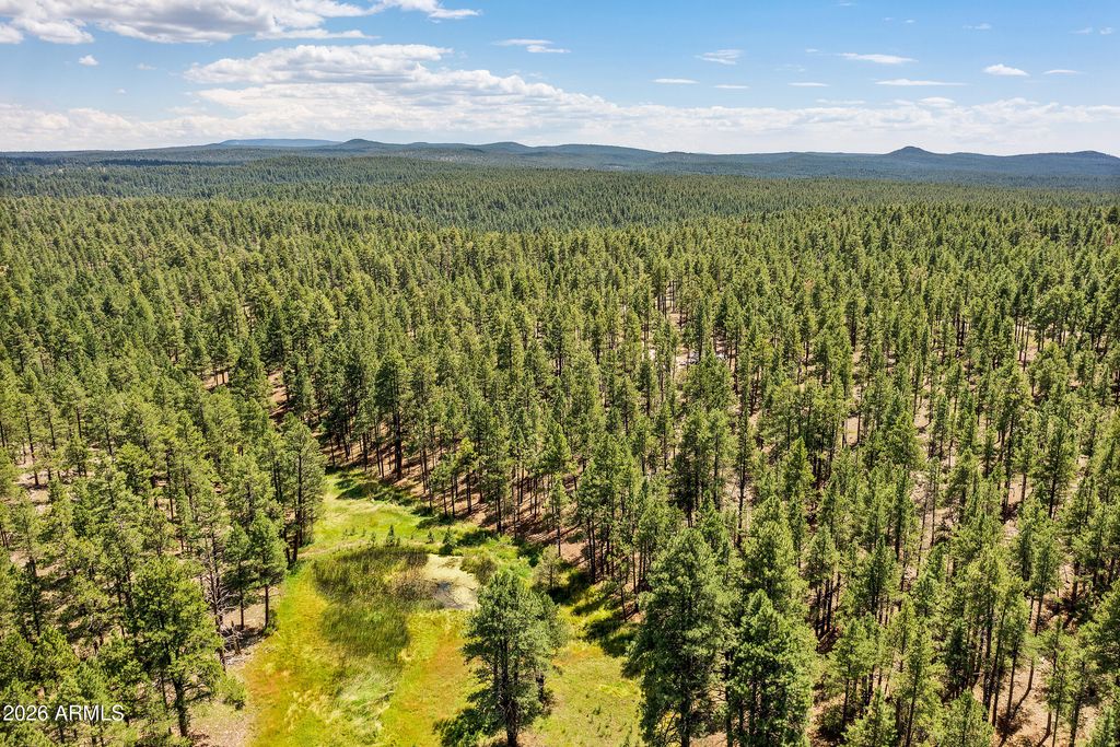 Image 14 of property listing at 3456 LAURIE Lane 9, Flagstaff, AZ 86005