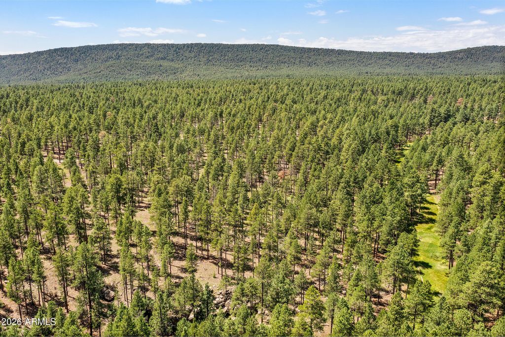 Image 16 of property listing at 3456 LAURIE Lane 9, Flagstaff, AZ 86005