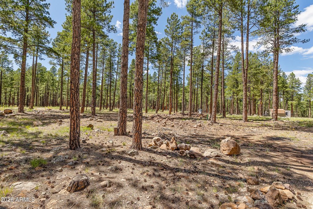 Image 23 of property listing at 3456 LAURIE Lane 9, Flagstaff, AZ 86005