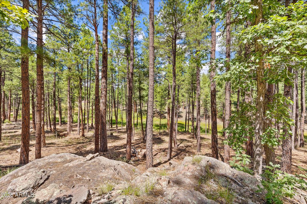 Image 31 of property listing at 3456 LAURIE Lane 9, Flagstaff, AZ 86005