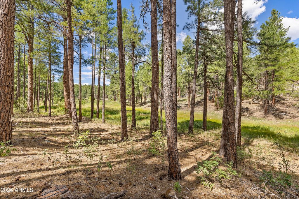 Image 32 of property listing at 3456 LAURIE Lane 9, Flagstaff, AZ 86005