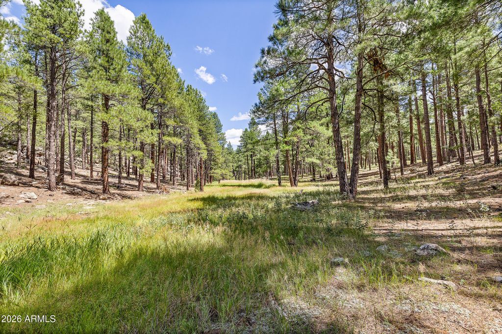 Image 33 of property listing at 3456 LAURIE Lane 9, Flagstaff, AZ 86005