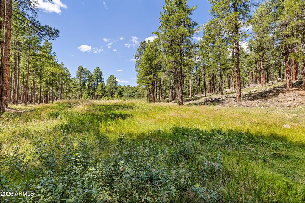 Image 34 of property listing at 3456 LAURIE Lane 9, Flagstaff, AZ 86005