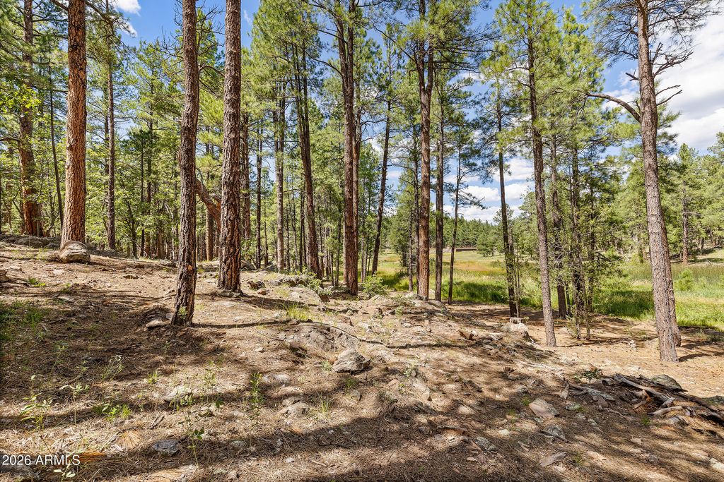 Image 35 of property listing at 3456 LAURIE Lane 9, Flagstaff, AZ 86005