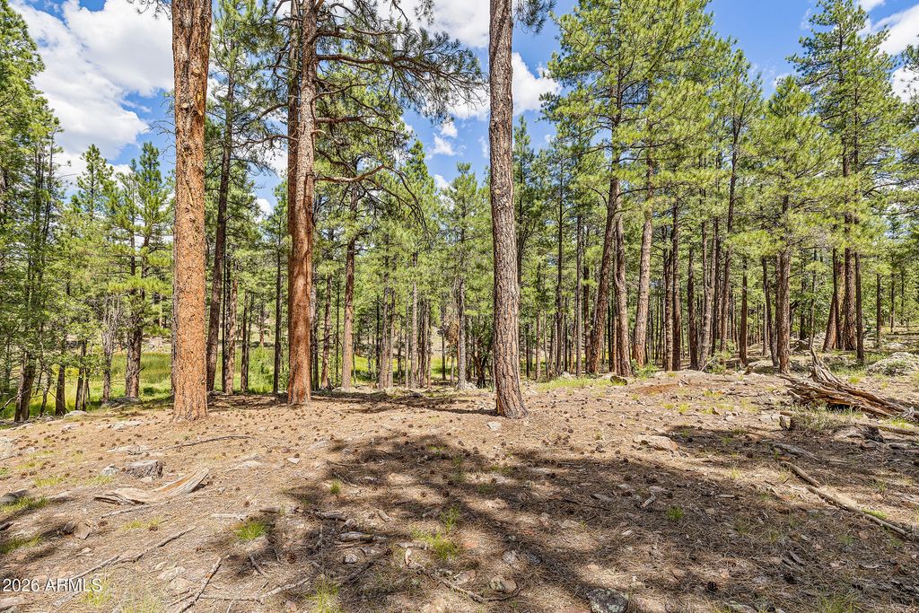 Image 36 of property listing at 3456 LAURIE Lane 9, Flagstaff, AZ 86005