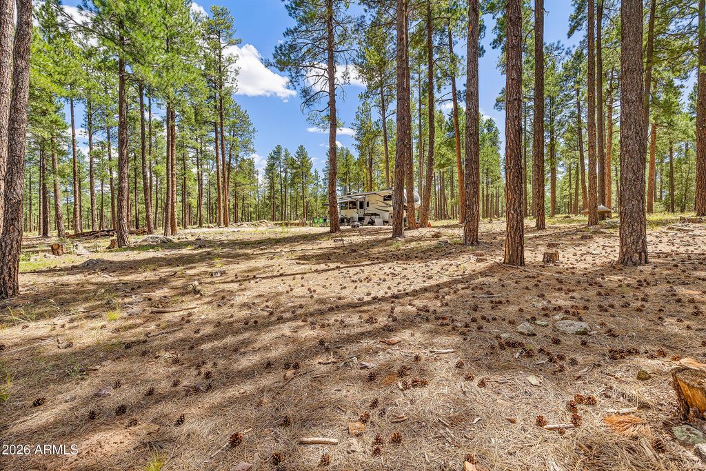 Image 37 of property listing at 3456 LAURIE Lane 9, Flagstaff, AZ 86005