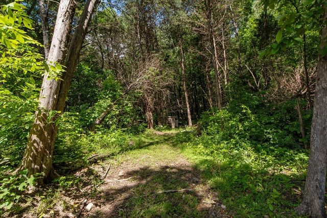 1119 Gallion Rd, Cumberland Furnace, TN 37051