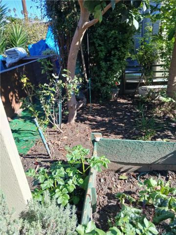 4174 3rd Ave, Los Angeles, CA 90008