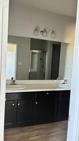 20603 Petunia Peak Street, Katy, TX 77449