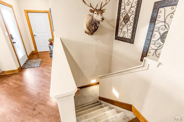 925 S Camino Santiago Dr, Pueblo West, CO 81007