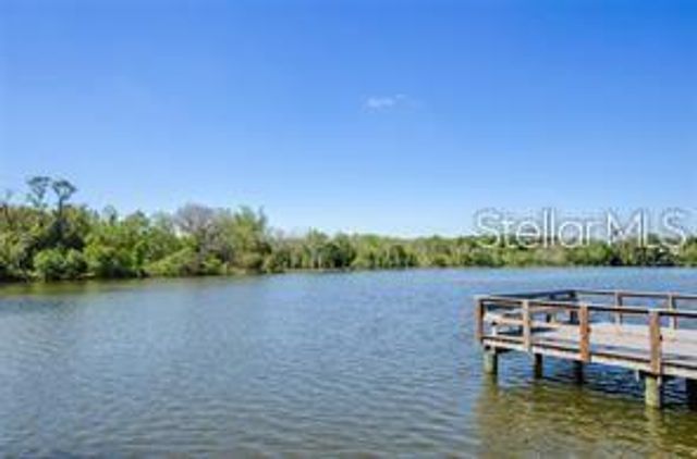 10643 LAKE MONTAUK DRIVE, Riverview, FL 33578