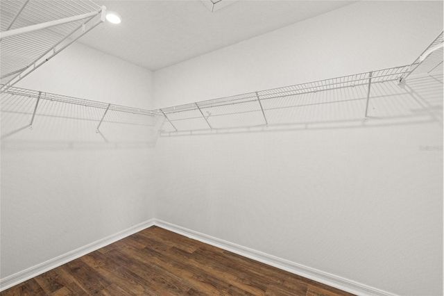 8212 CYPRESS BREEZE WAY, Tampa, FL 33647