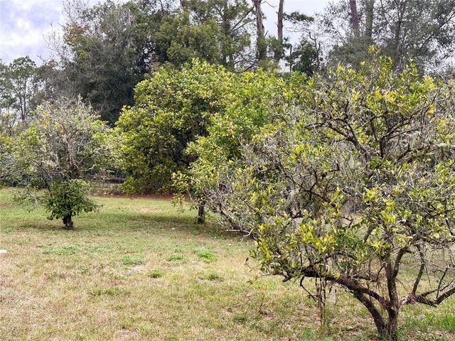 154 W LEWIS AVENUE, Apopka, FL 32712