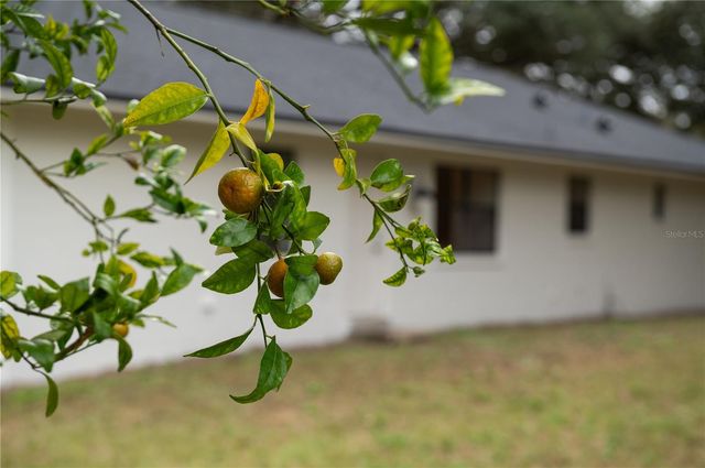 154 W LEWIS AVENUE, Apopka, FL 32712