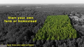 1062 Waverly Farms Road, Waverly, GA 31565