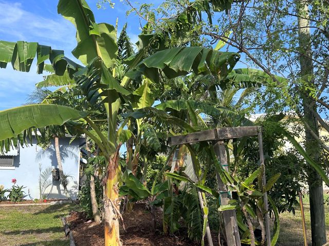 3817 NE Melba Drive, Jensen Beach, FL 34957